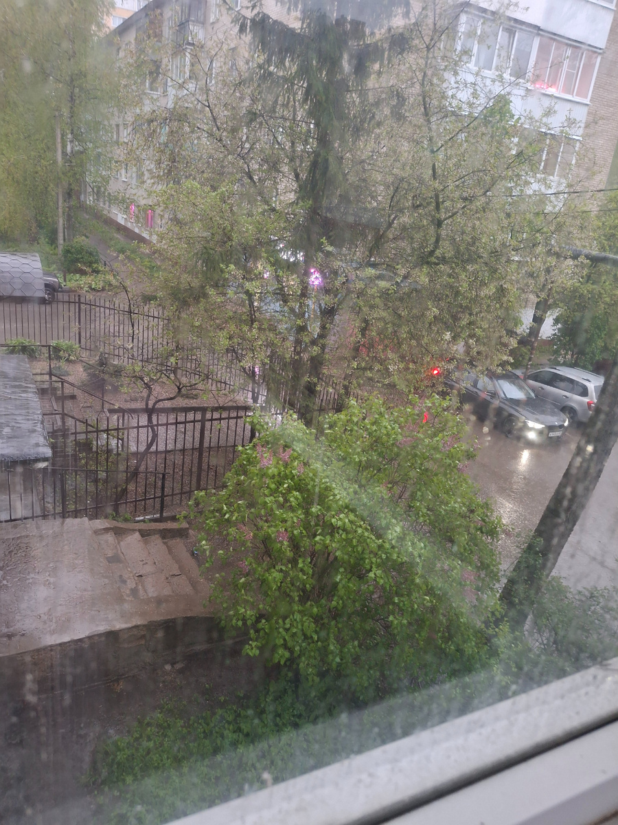 Фотография сделана автором статьи 