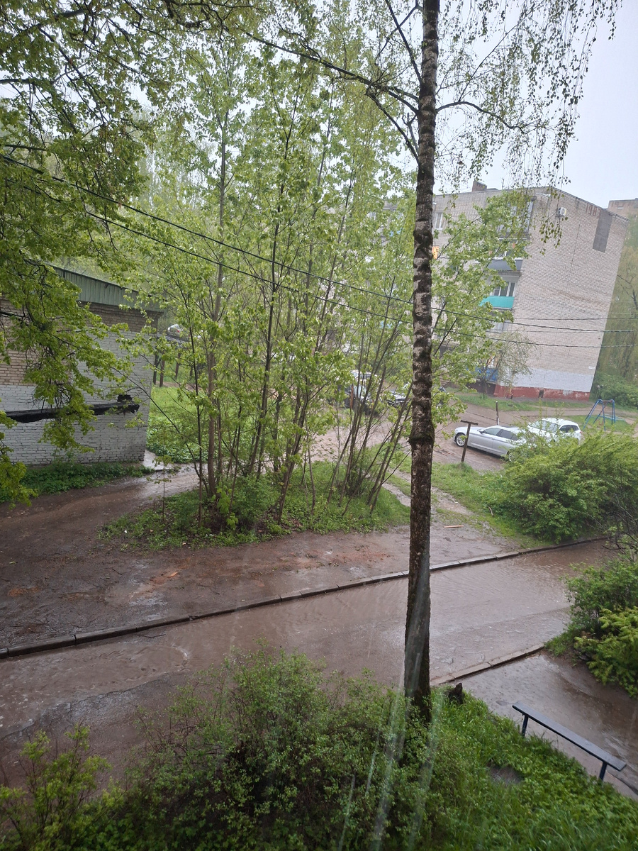 Фотография сделана автором статьи 