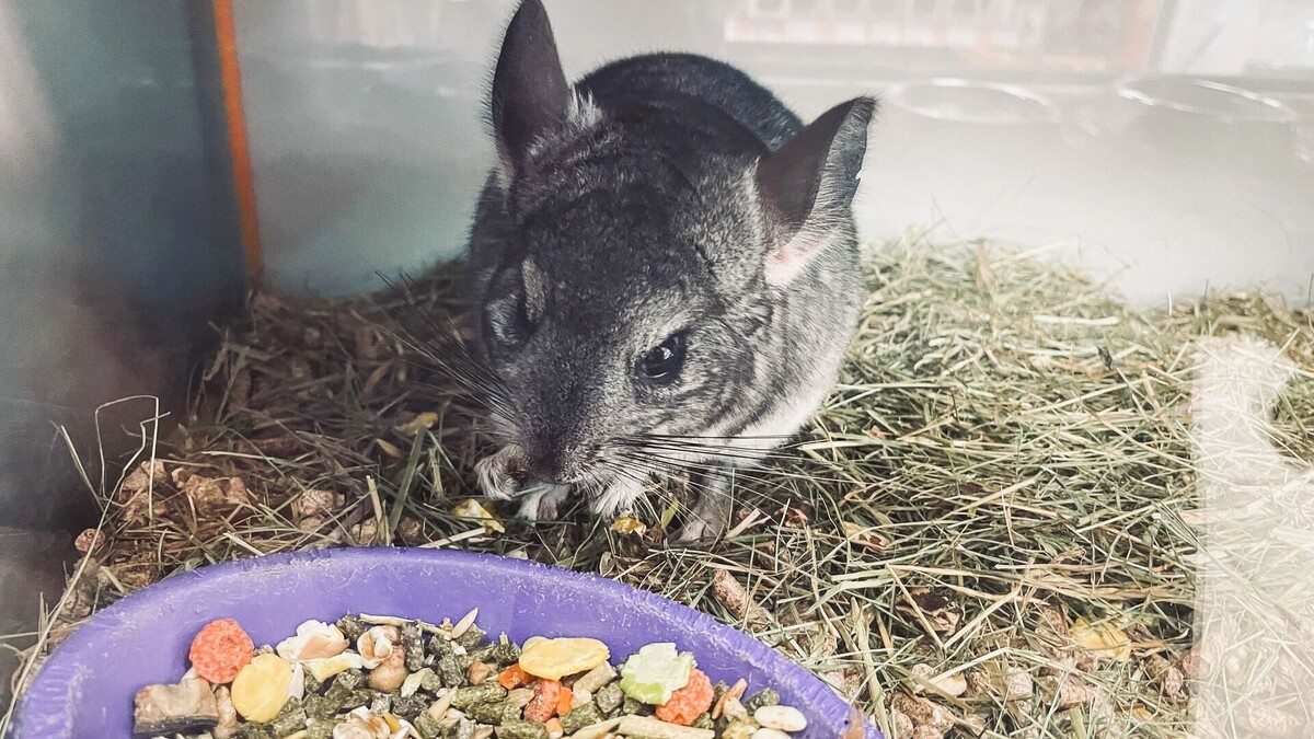     Источник: 1MI