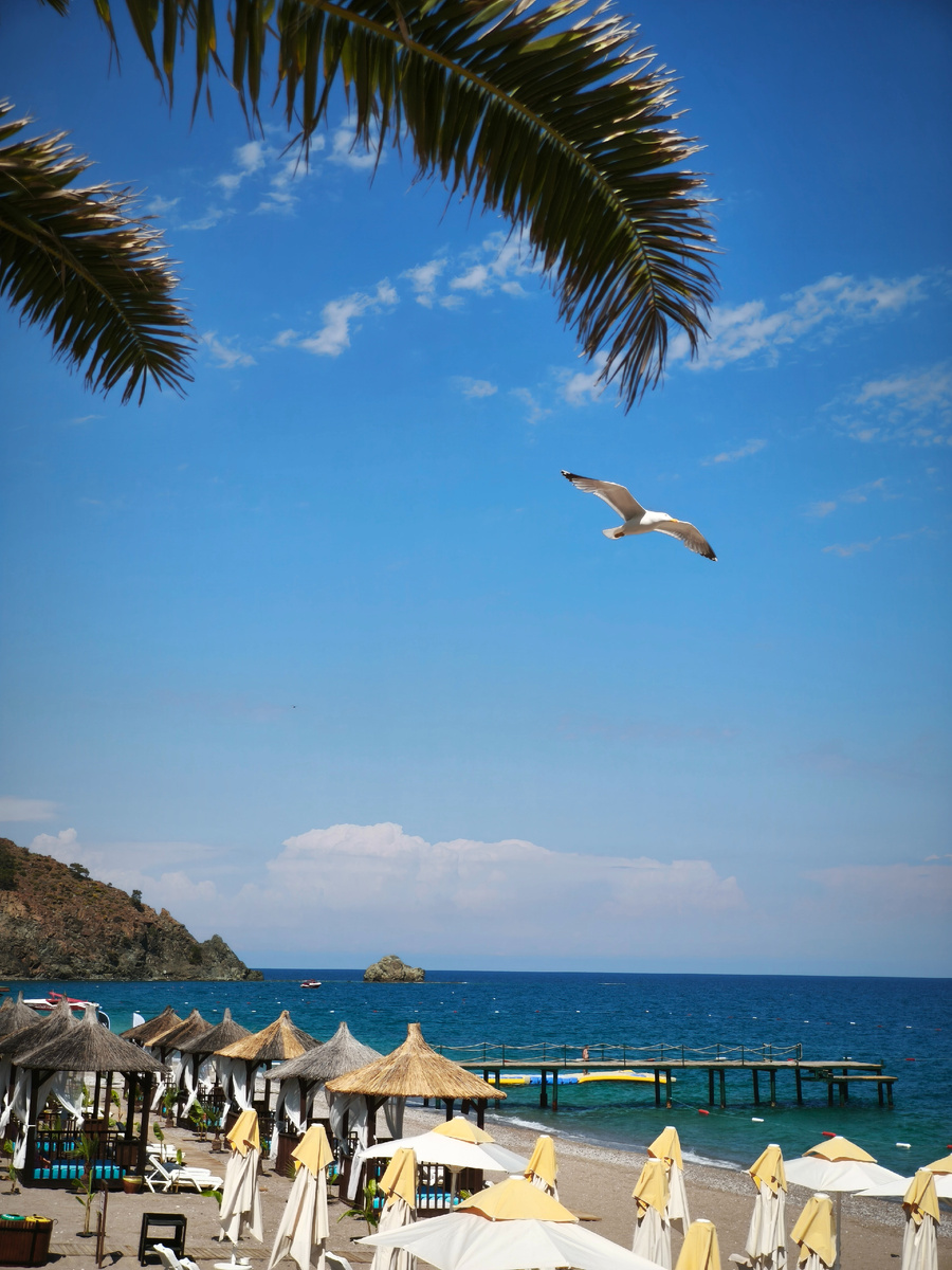 Чайку поймала) 