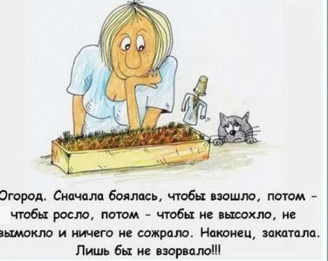 Все фото из интернета