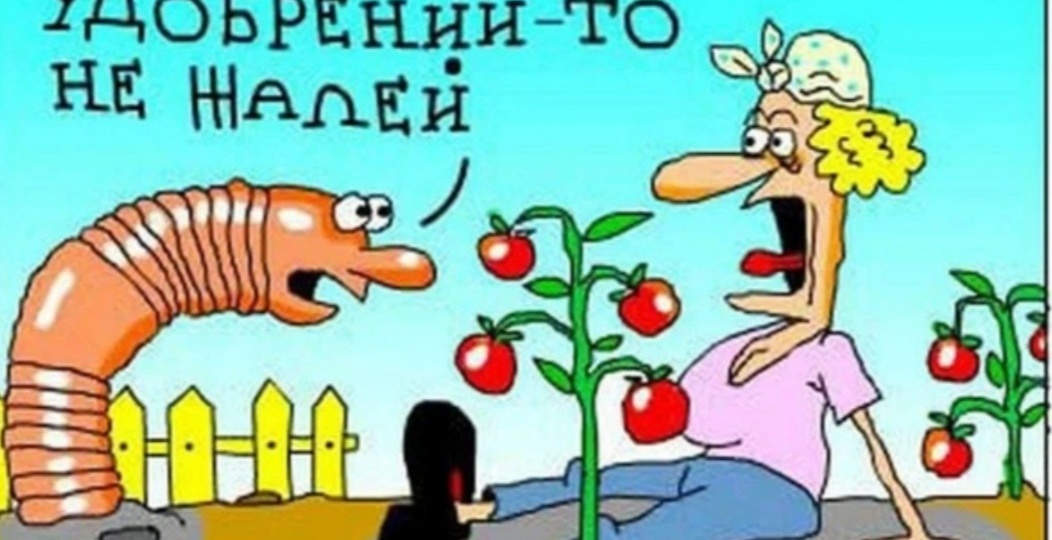 Юмор оголтелый. Огородные сказочницы