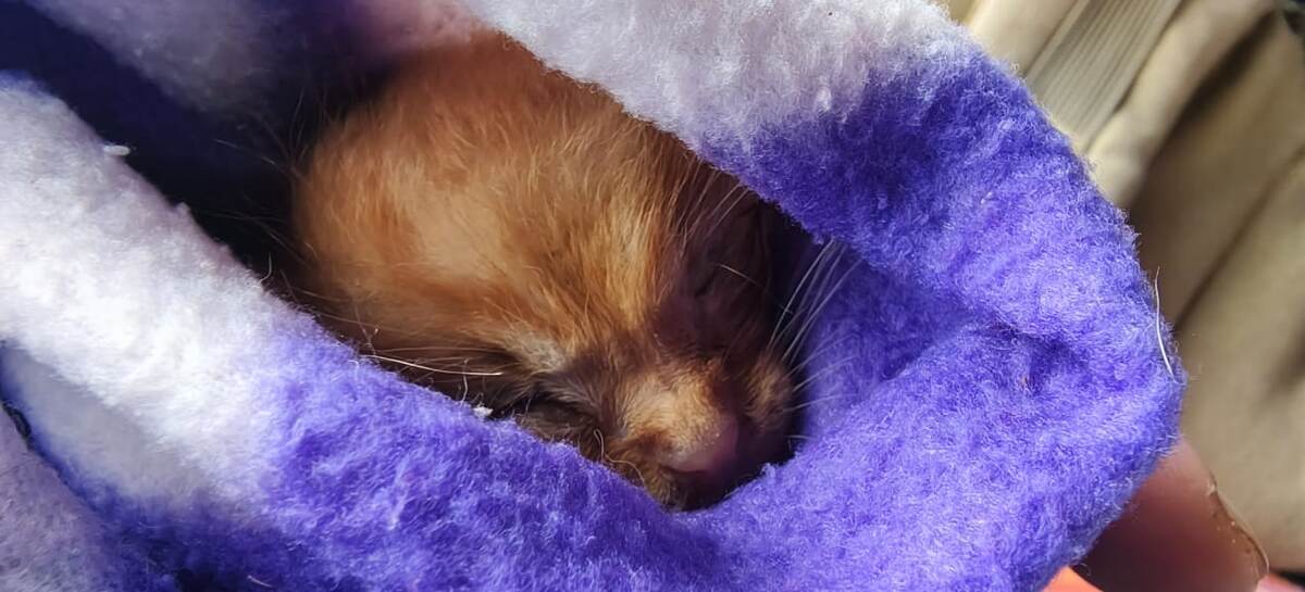 фото сделано в маршрутке