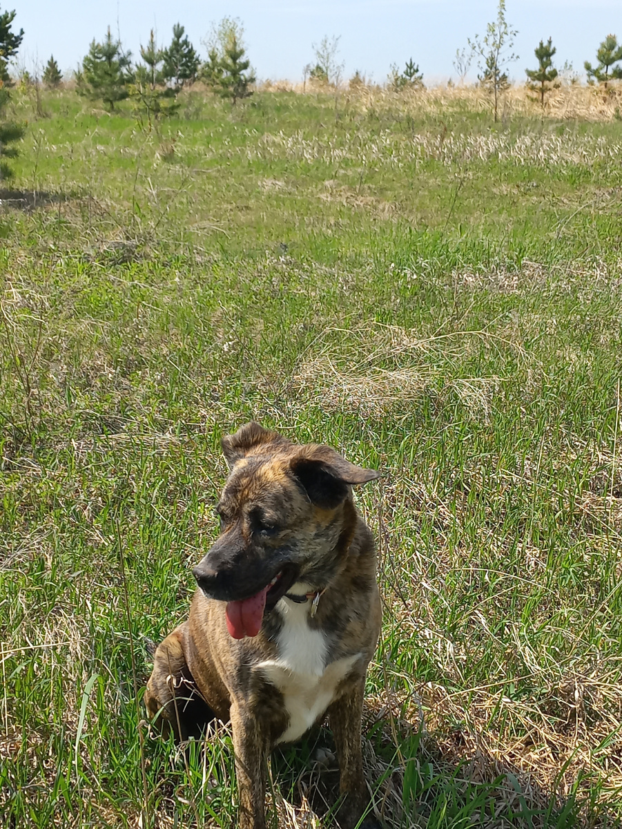 Марта. Фото из личного архива