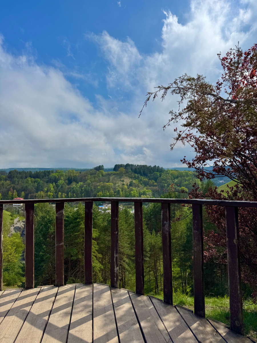 Вид на парк со смотровой площадки у солярия, рядом с Чайным домиком, фото Сад в стиле Paradise ®