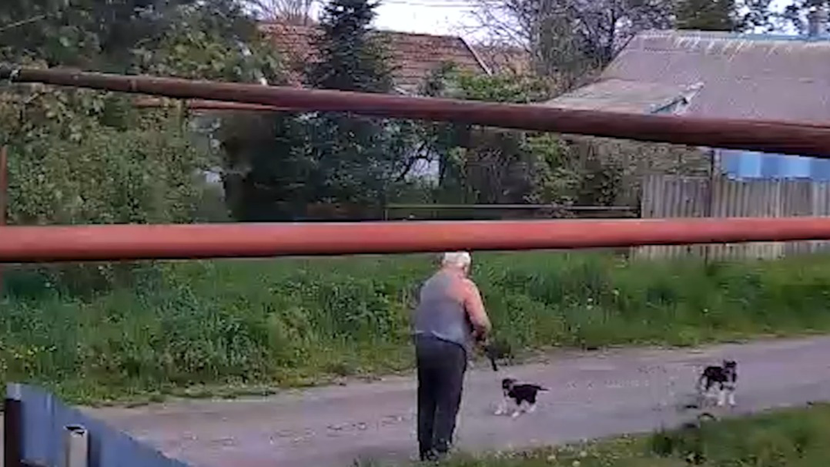    Фото: РЕН ТВ / Telegram / скриншот