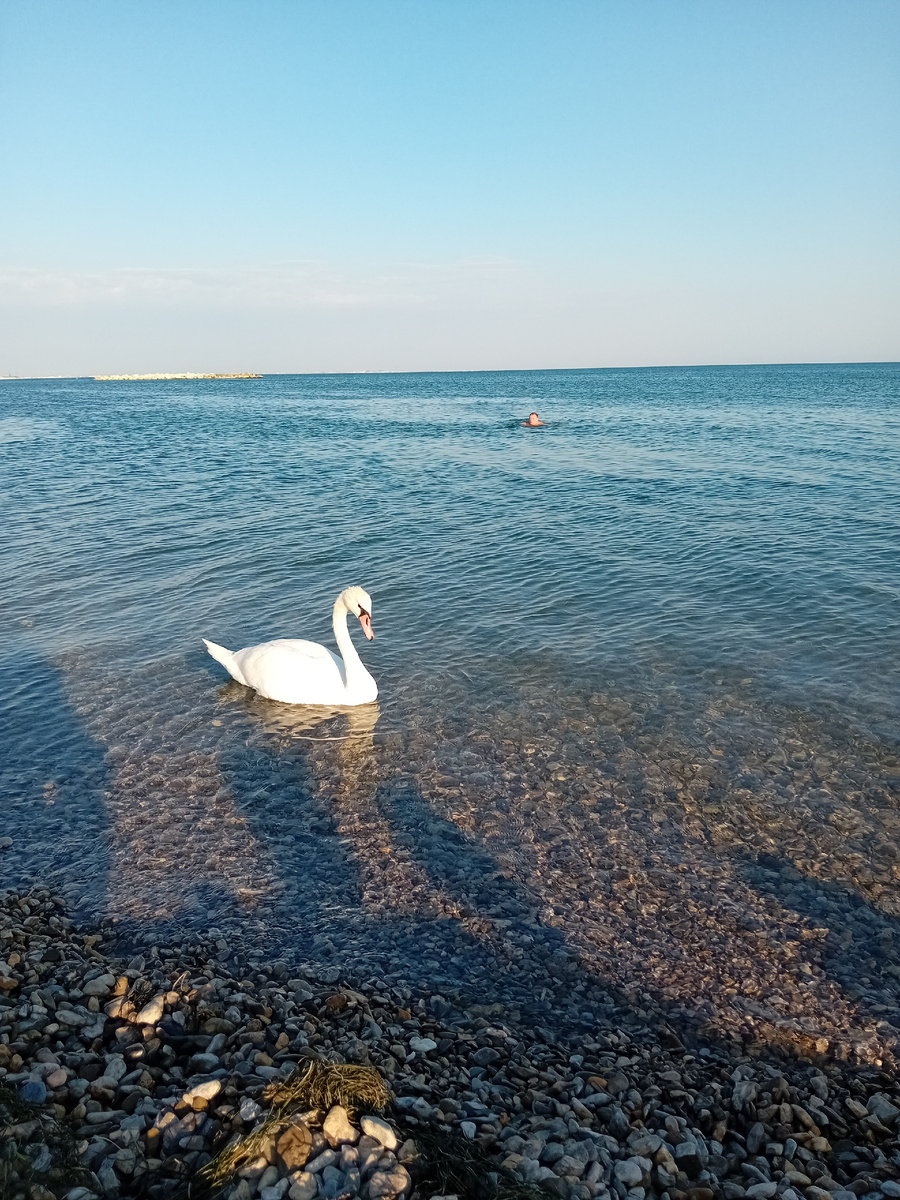 Авторское фото.