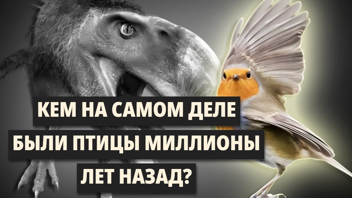 Откуда появились птицы на земле и кто их предок?