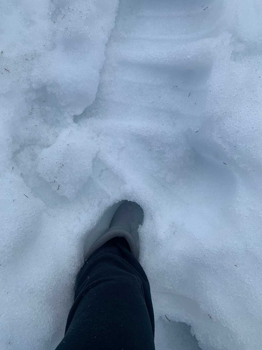 Весна, ты спишь?