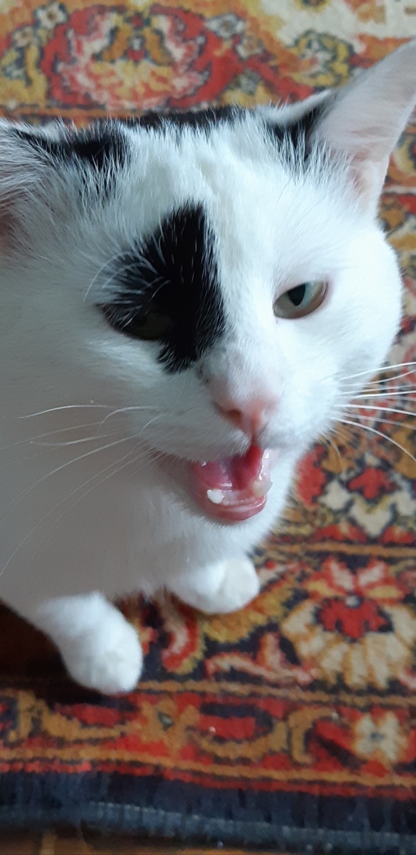 Обижают меня!