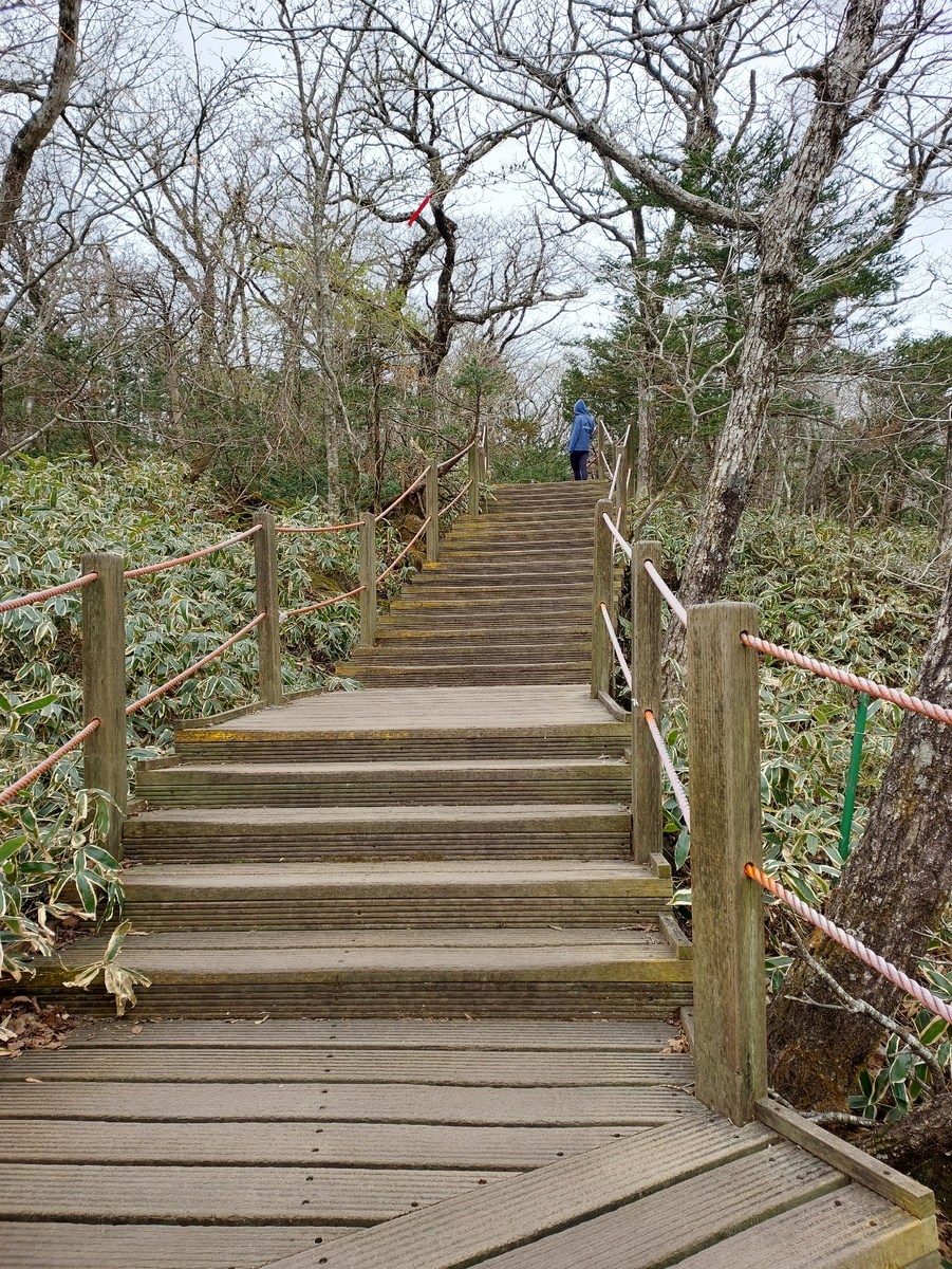 Лестница на маршруте