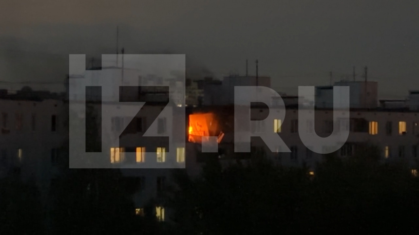    Фото: 5-tv.ru