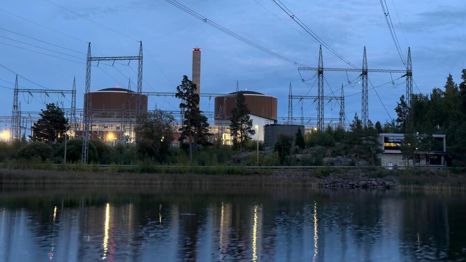 Фото: РенТВ