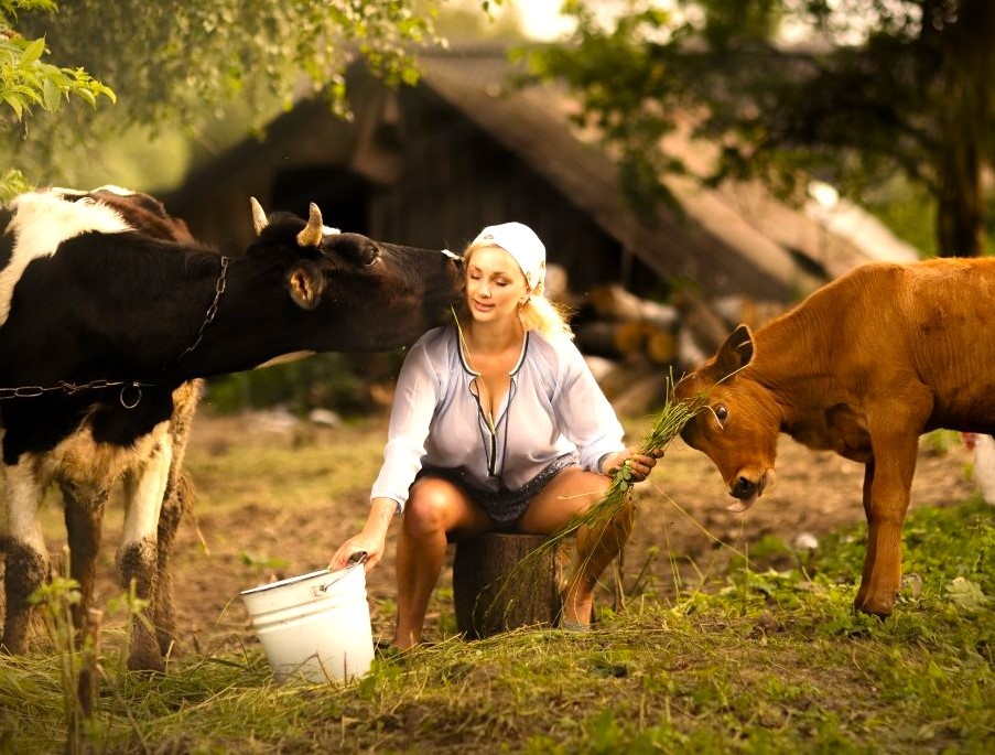  из свободных источников