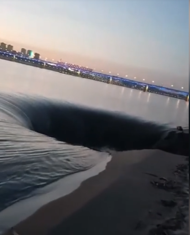 Скриншот видео с сайта gazeta.ru