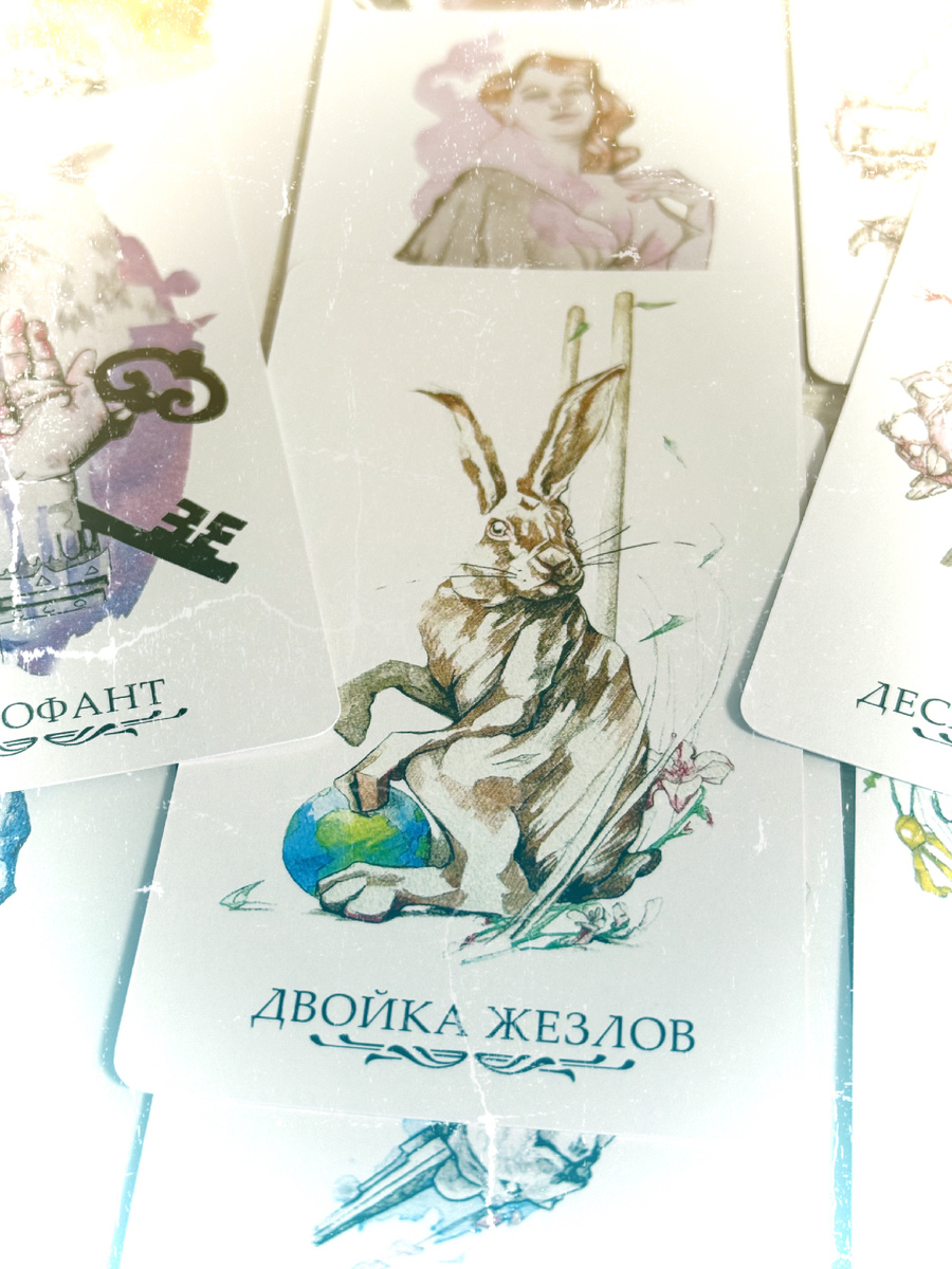 Сигнификатор недели