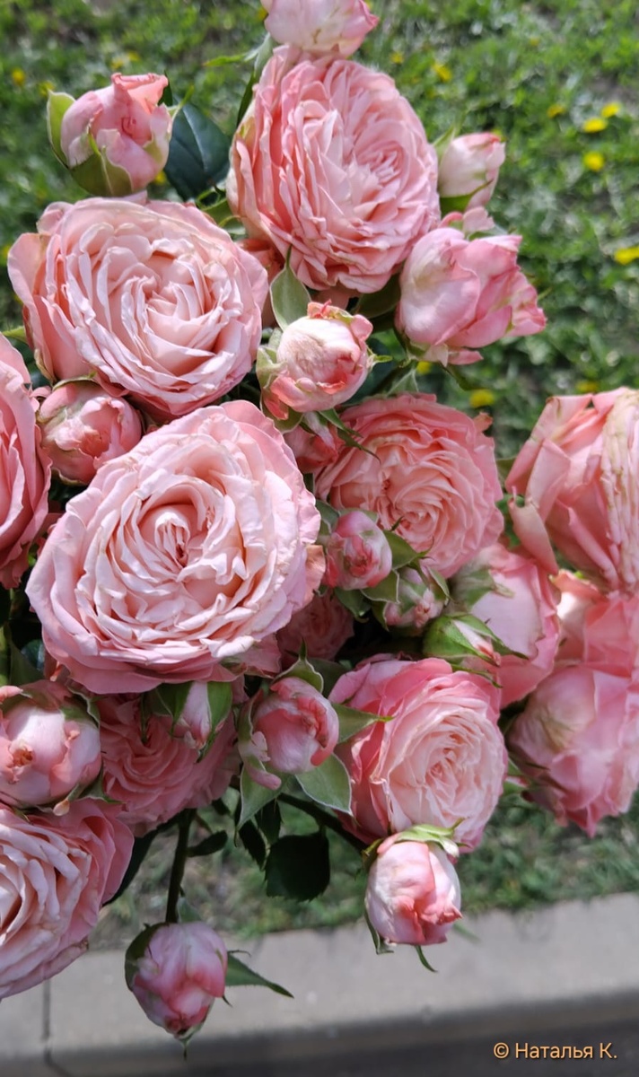 Фото автора канала