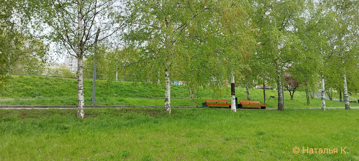 Фото автора канала