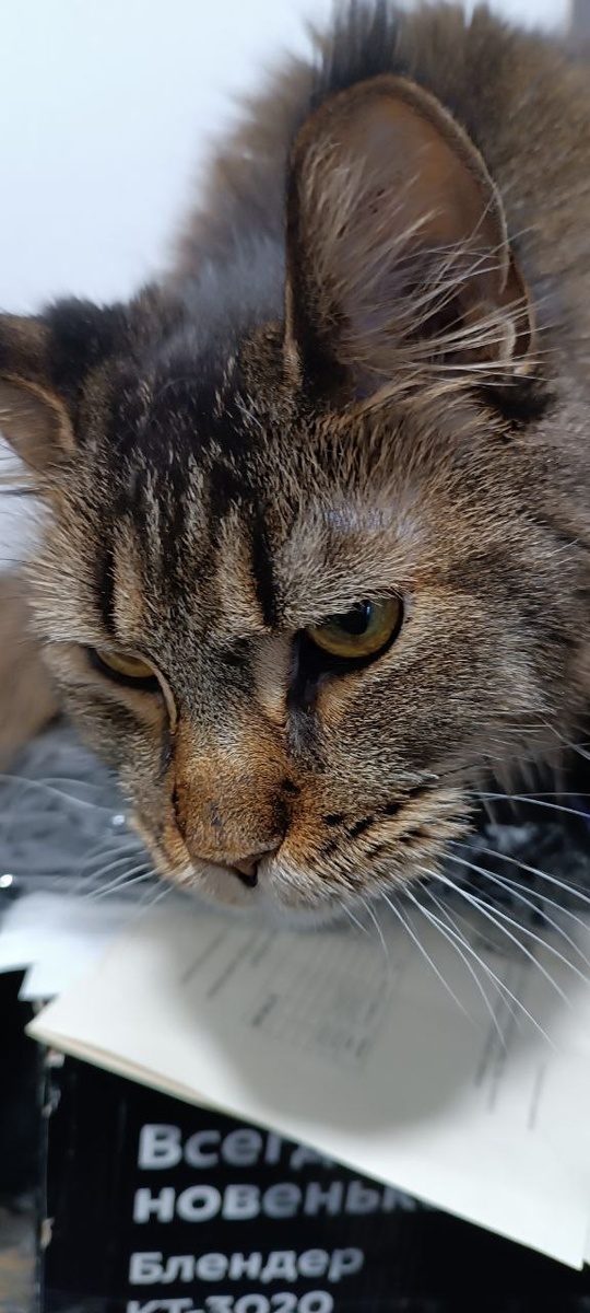 Это я удрурчена, вот!