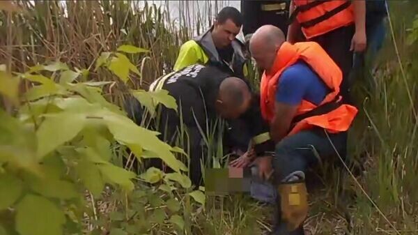    © Photo : Telegram / МЧС Беларуси