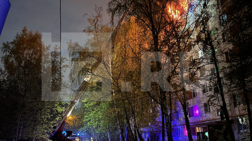    Фото: ИЗВЕСТИЯ/Андрей Титов