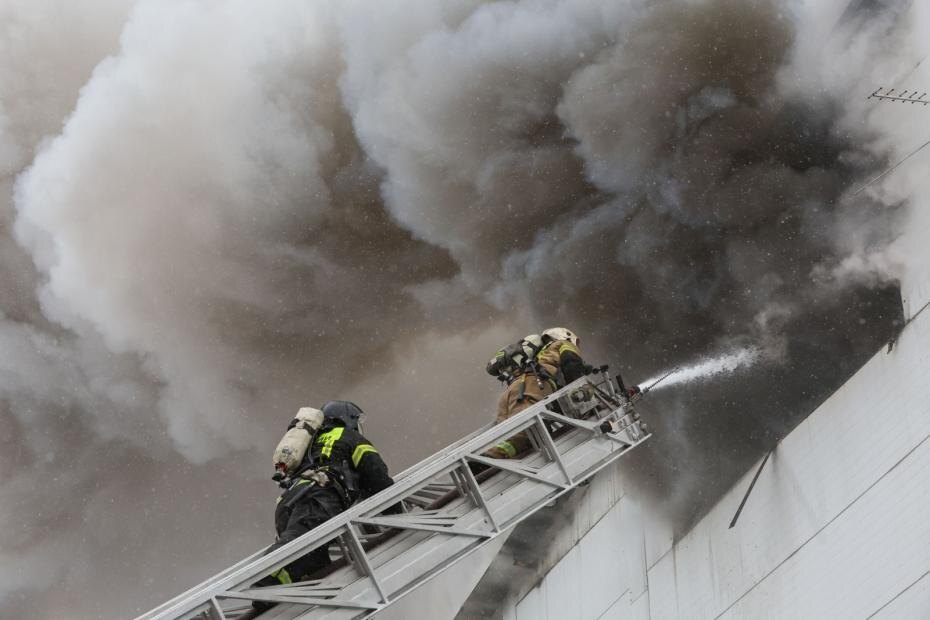    Алексей Белкин/NEWS.ru