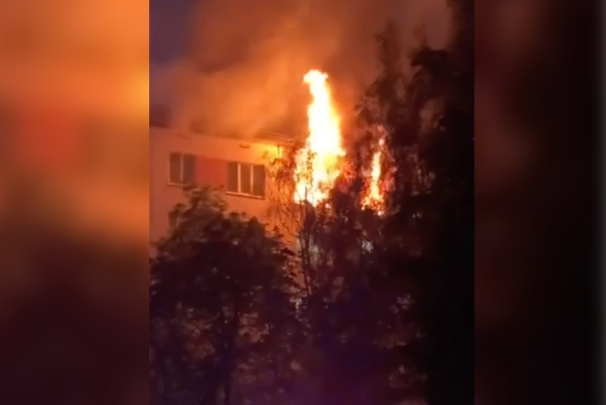     / Источник: © Кадр из видео