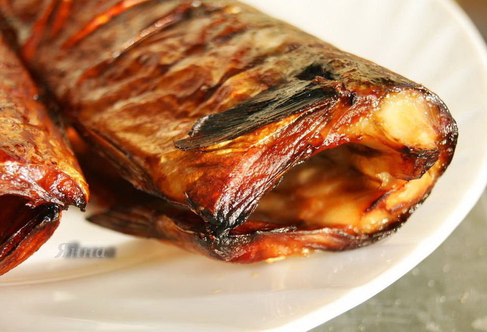 Фото автора. Скумбрия на углях.