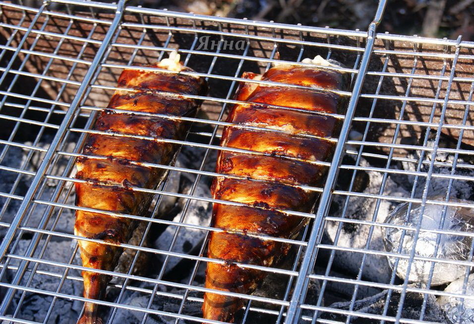 Фото автора. Скумбрия на углях.