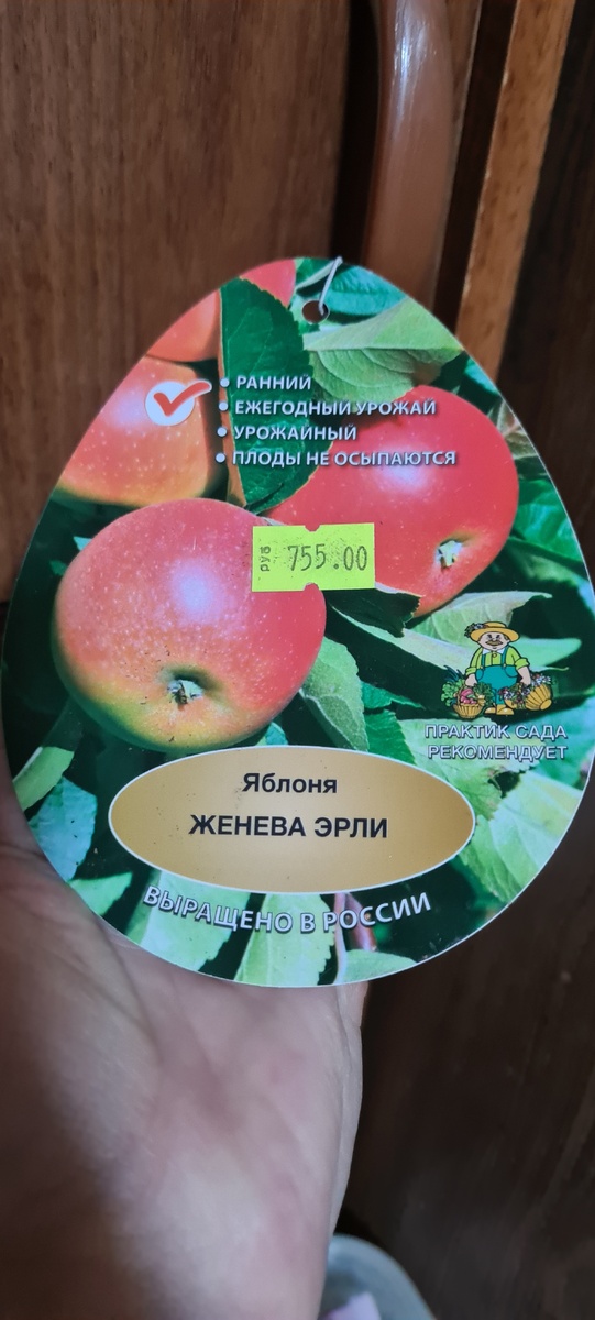 Вот такую купили .