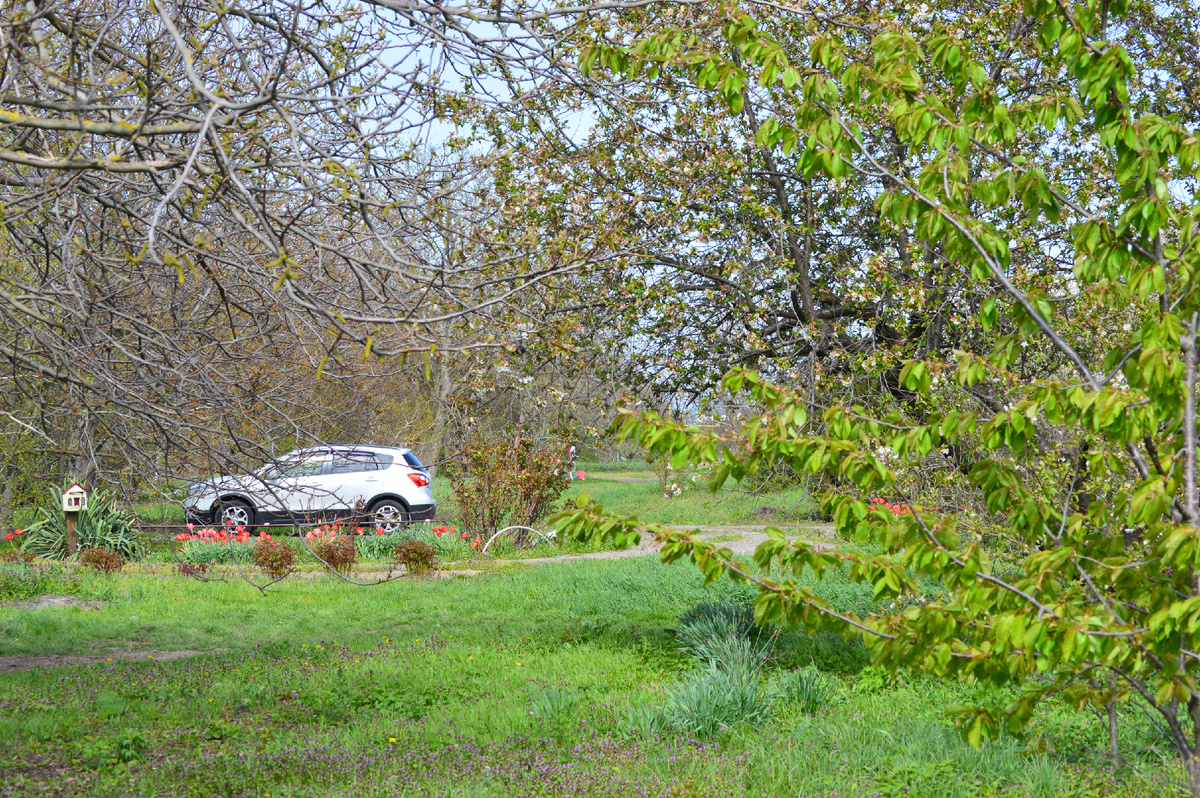 Фото автора. Аперель 2025. Весна время перемен. 