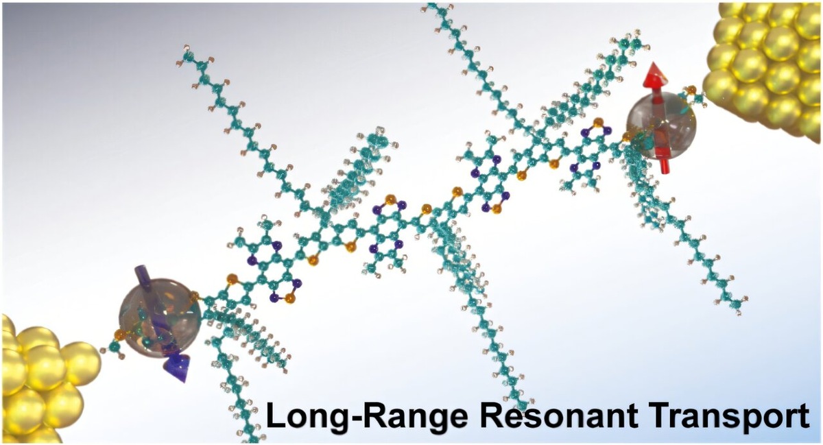 Фото: Journal of the American Chemical Society (2025)  📷
