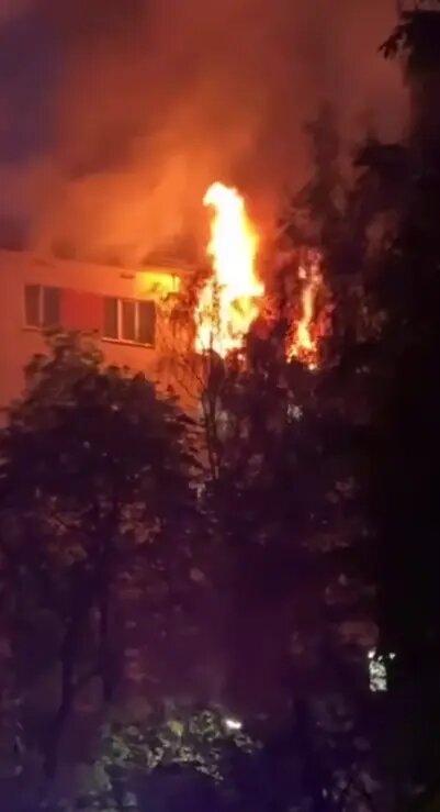    Фото: скриншот видео из соцсетей