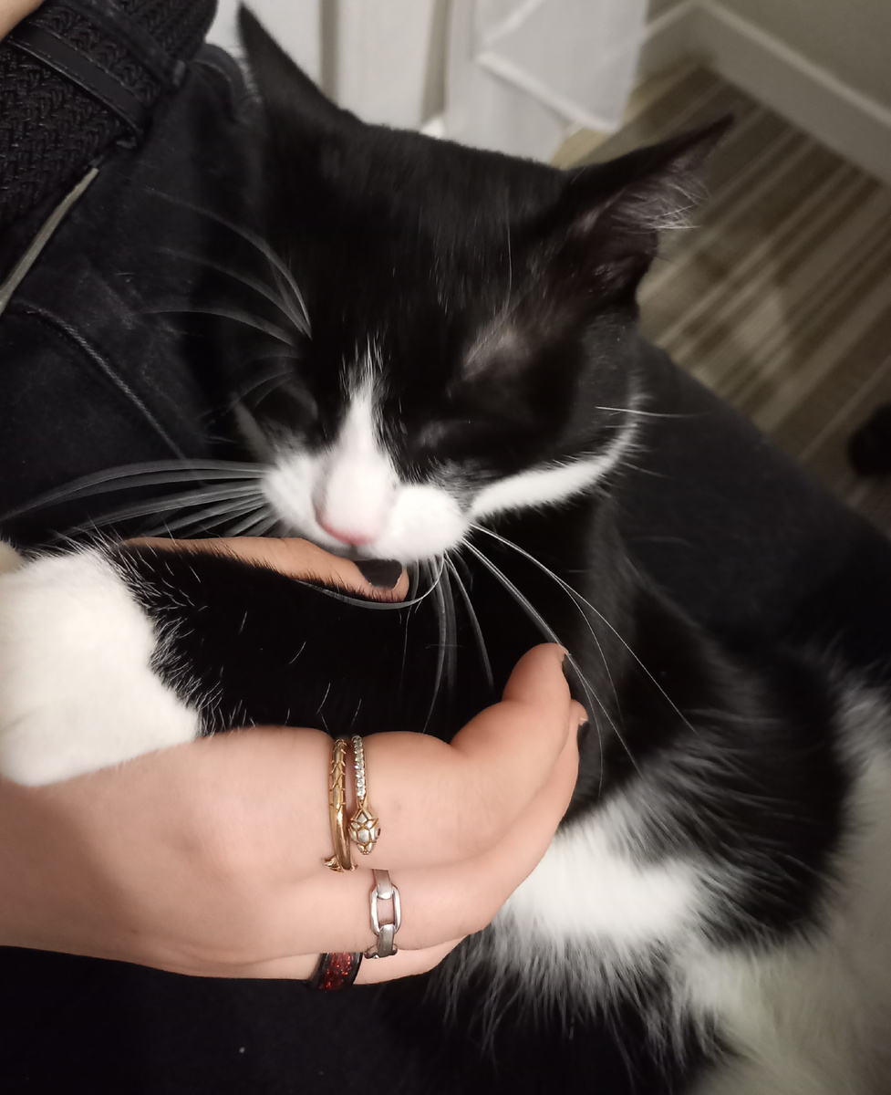 Притоптался...и спит