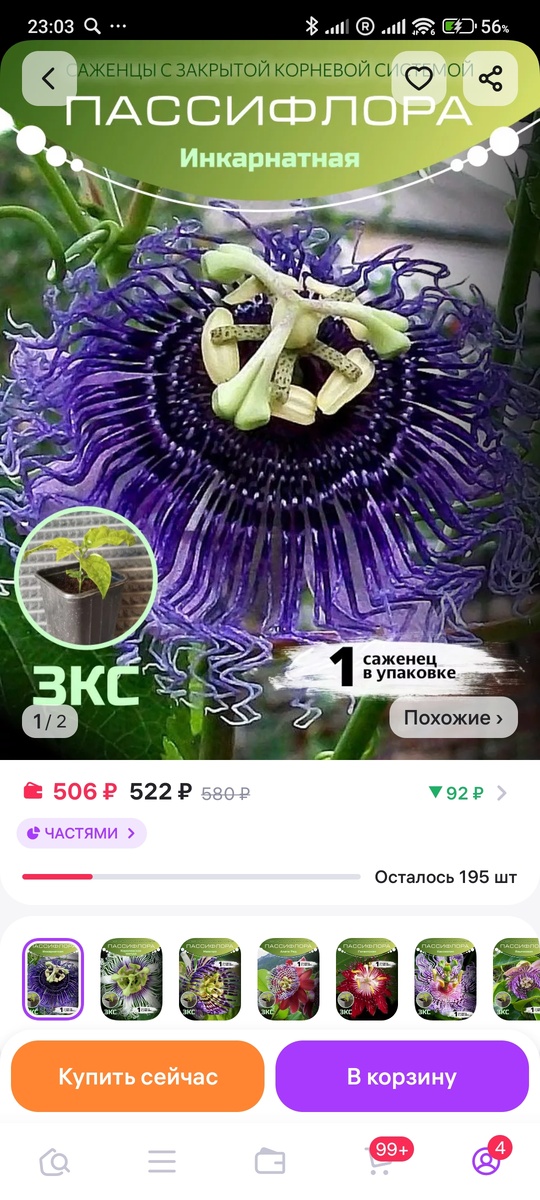 Нет, не Инкарнатная.