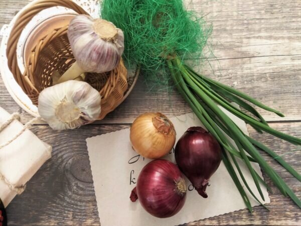    Фото: Екатерина Иванова