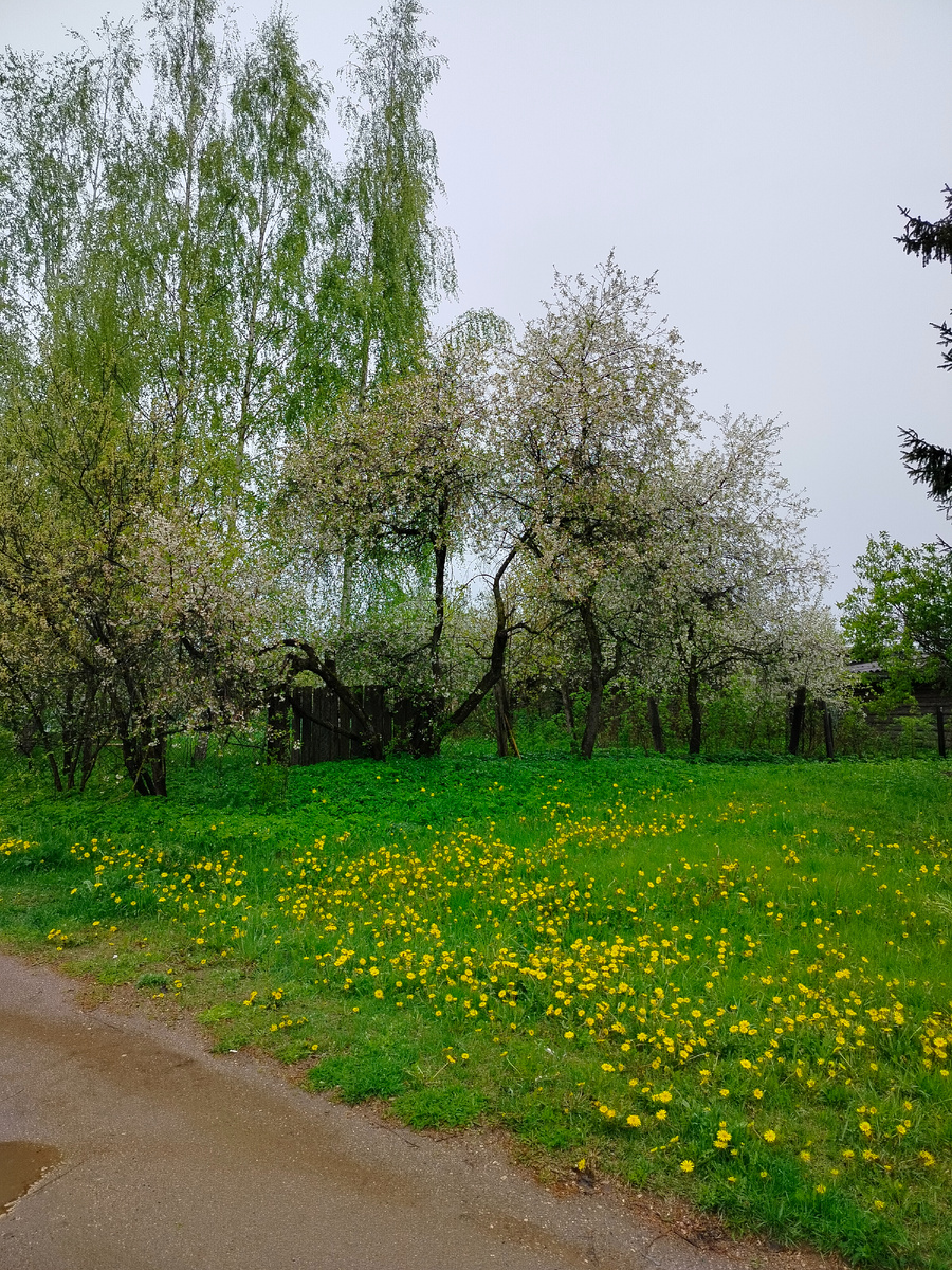 Пейзаж на улице Рабочей