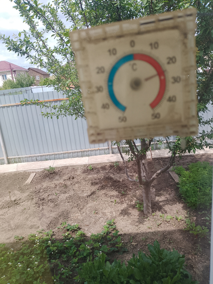 Где-то у знакомых на даче