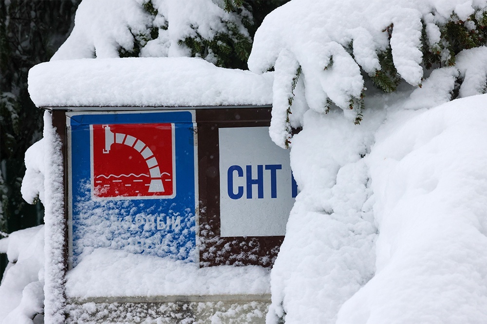     Фото: Владимир Гердо / ТАСС