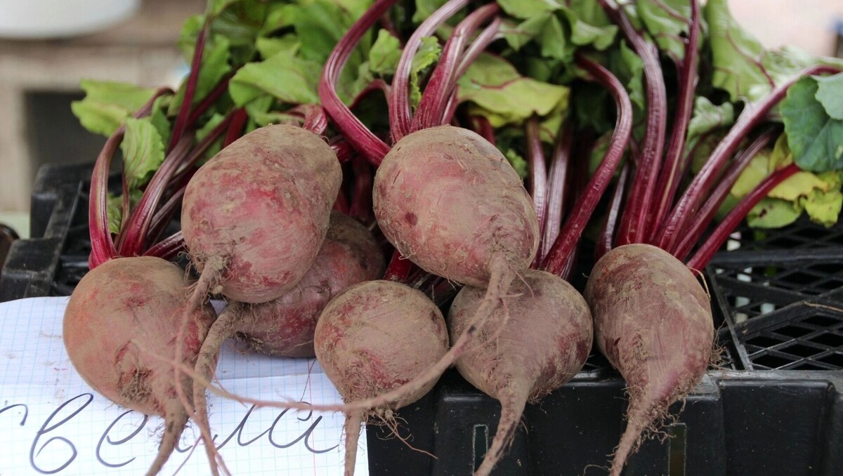     Источник: 1MI