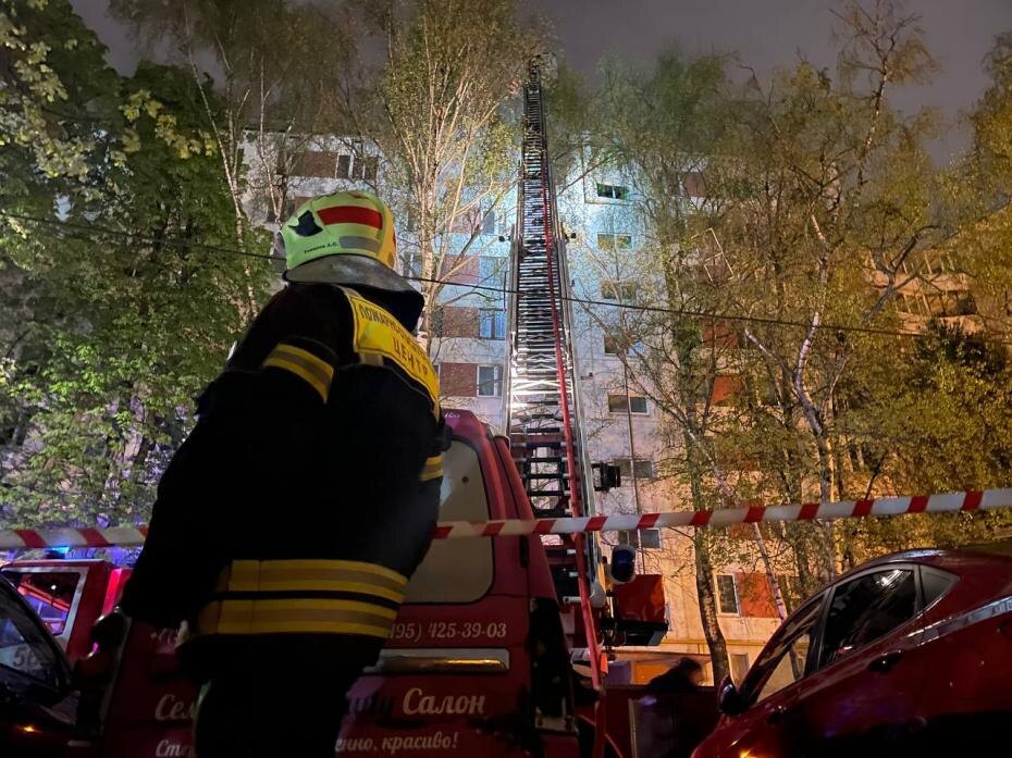    Наталья Шатохина/NEWS.ru