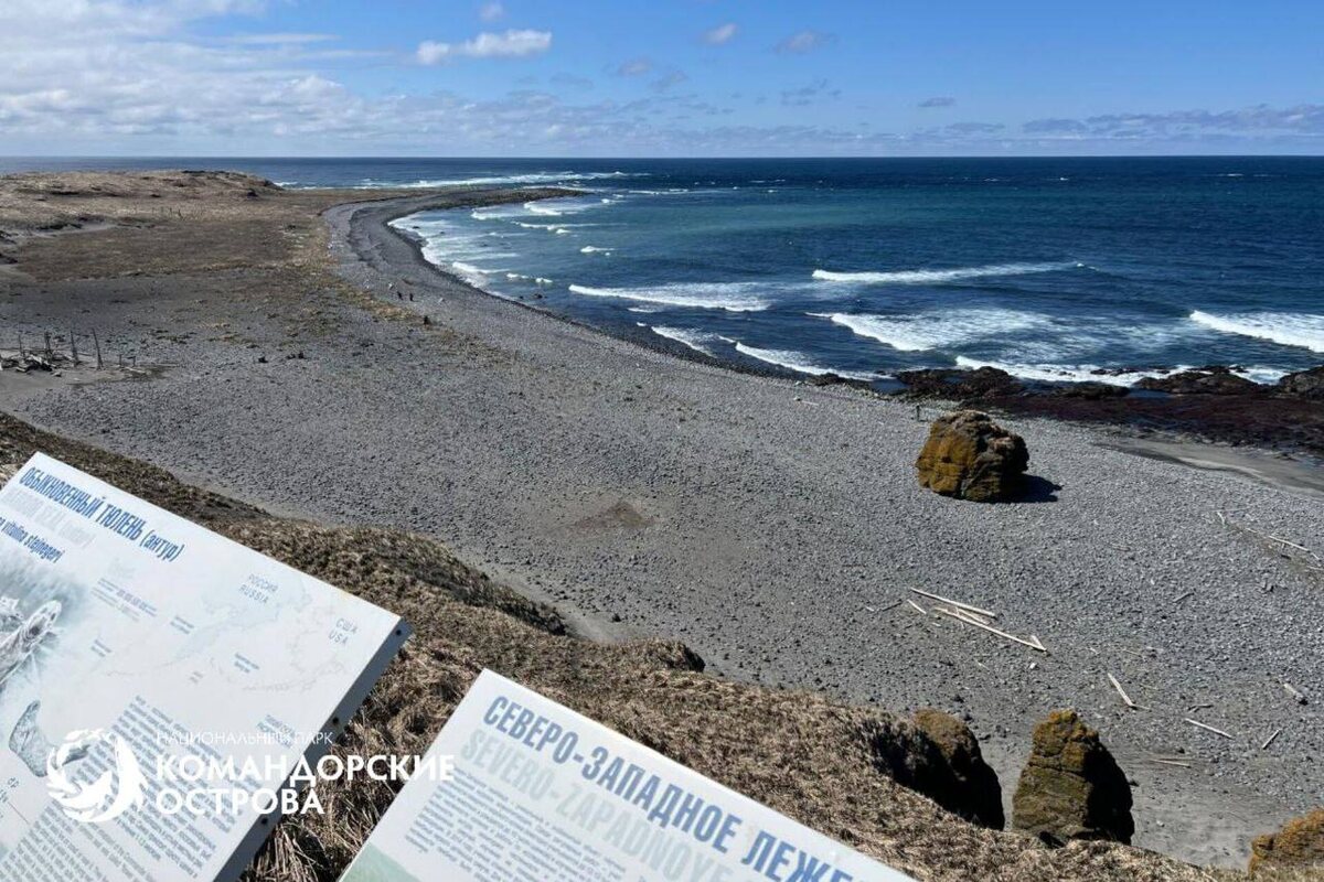 Фото: Национальный парк «Командорские острова»