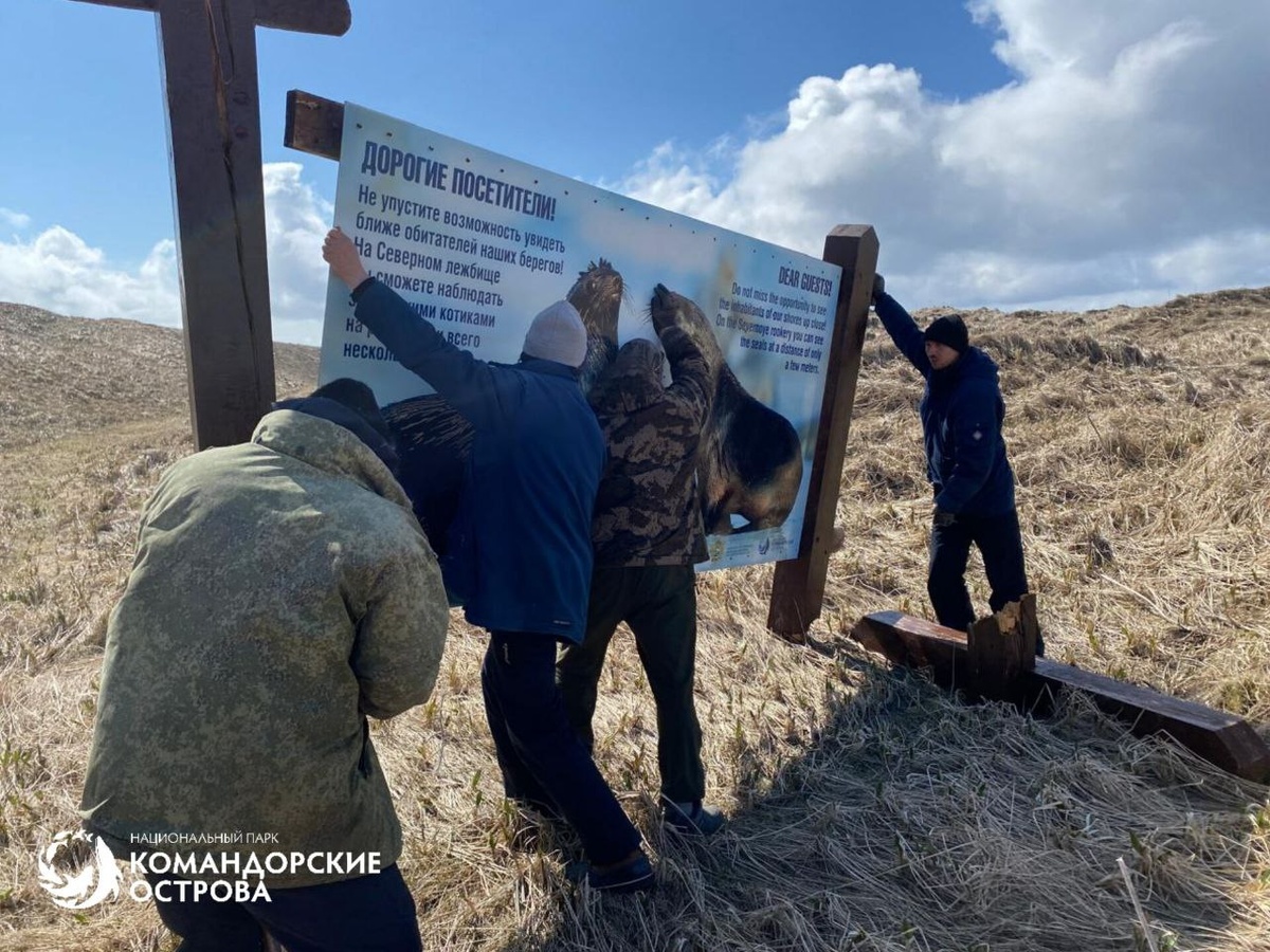 Фото: Национальный парк «Командорские острова»