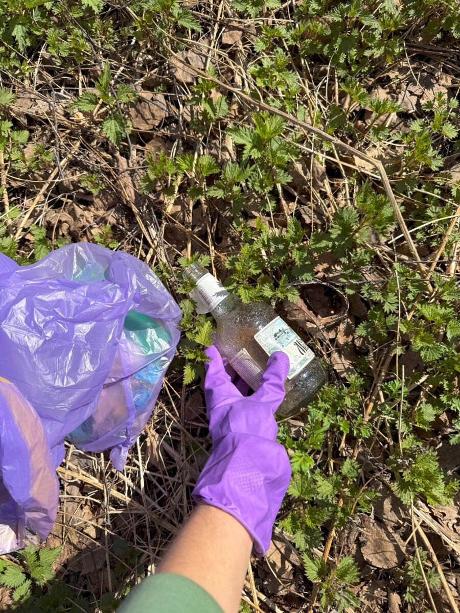    Субботник в парке "Юбилейном". Источник: Предоставлено Софьей Куликовой