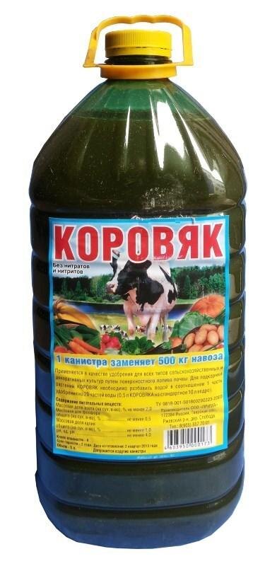 Жидкий коровяк