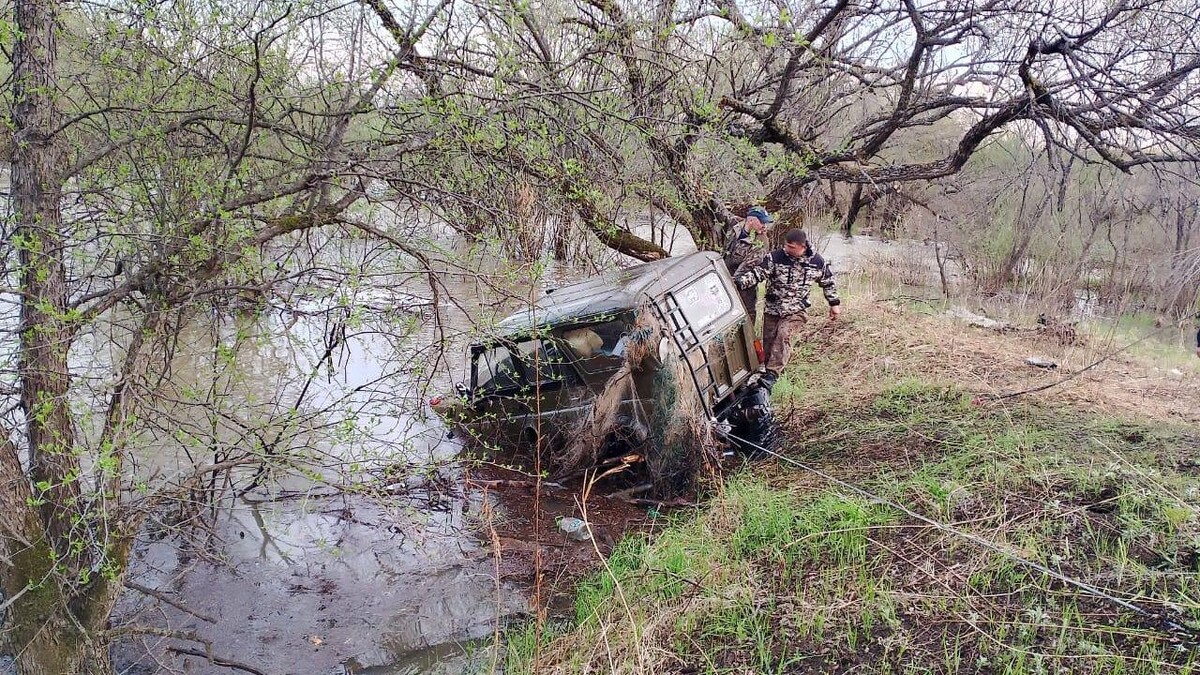     Источник: primgochs