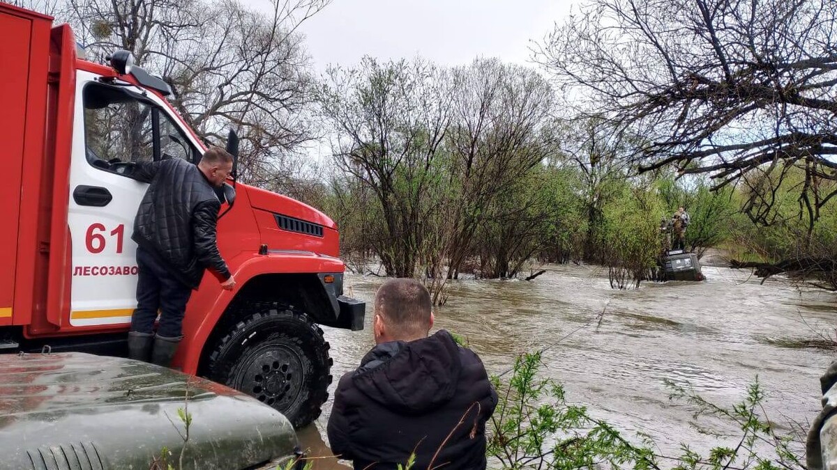     Источник: primgochs