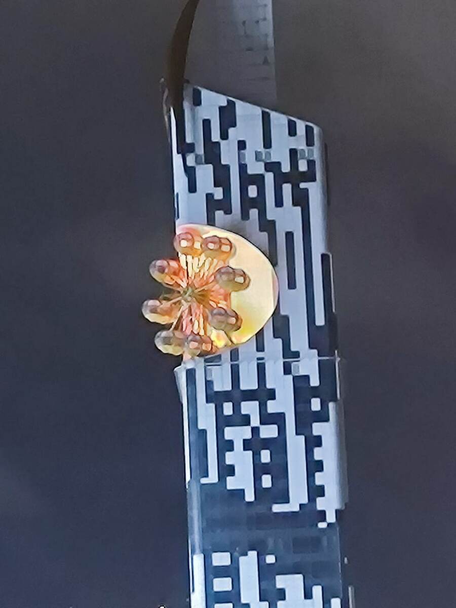 Башня с колесом обозрения в Батуми