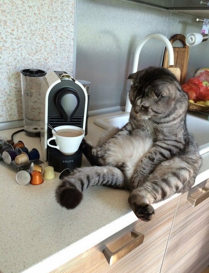 Яндекс Открытый источник 