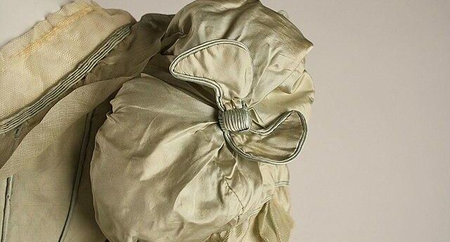    Из коллекции сестер Льюисон / Википедия